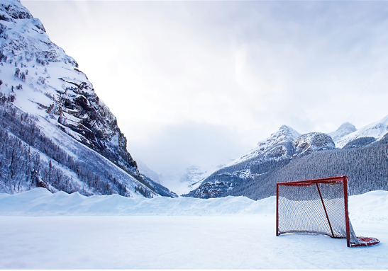 나비코 인사말 이미지1